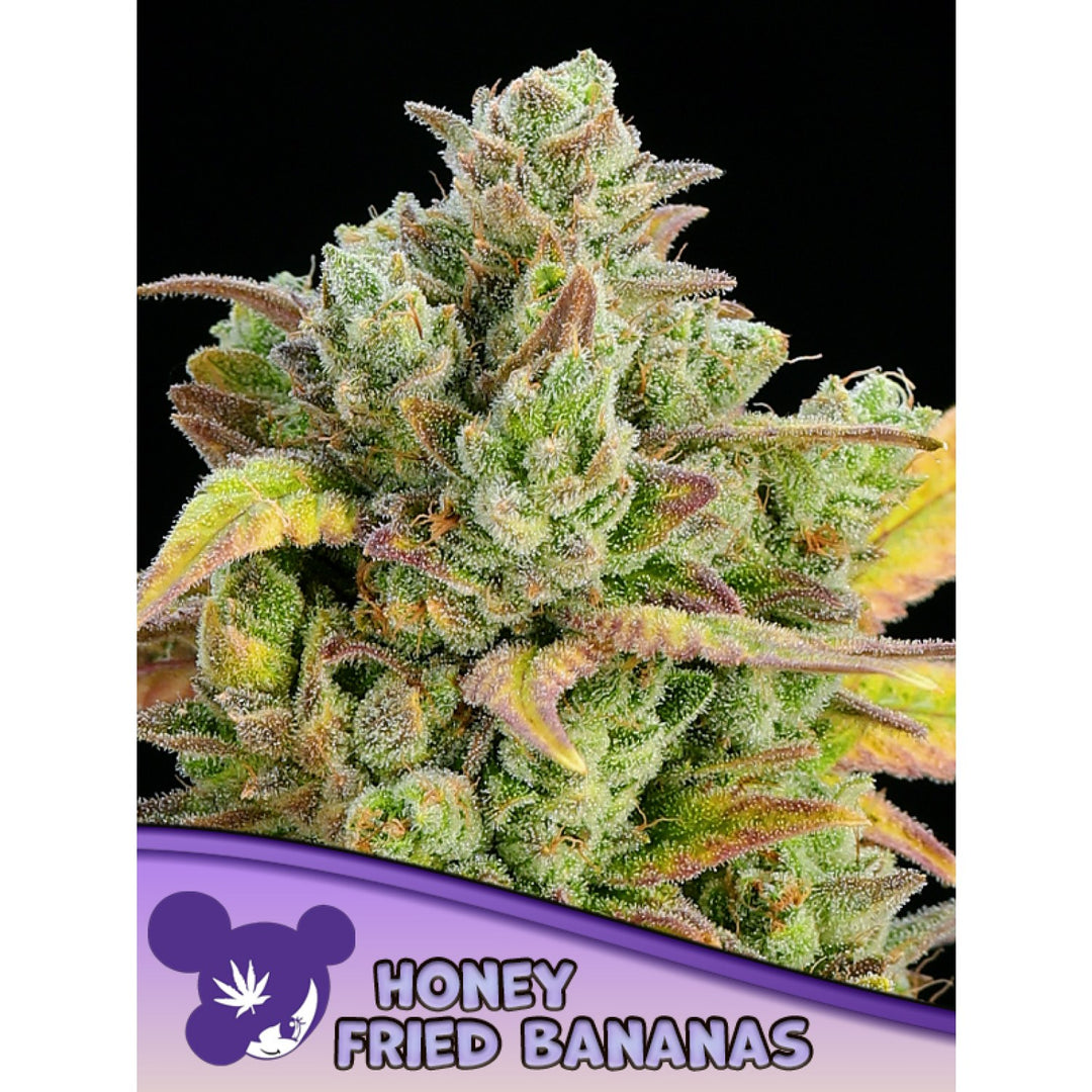 Anesia Honey Fried Bananas Fem 3St.
