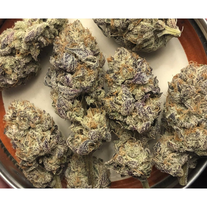 In House Genetics Jelly Breath S1 Fem 3St.