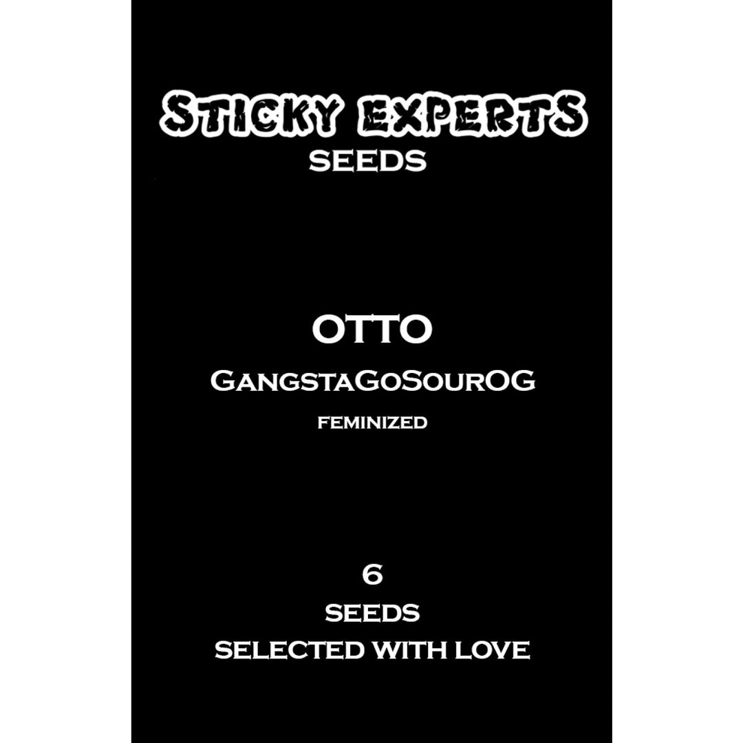 Sticky Experts Otto GangstaGoSourOG Fem 6St.