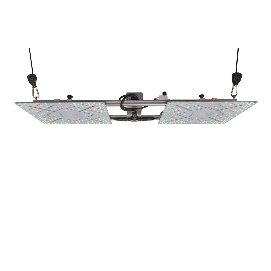 BloomStar Wingman 660