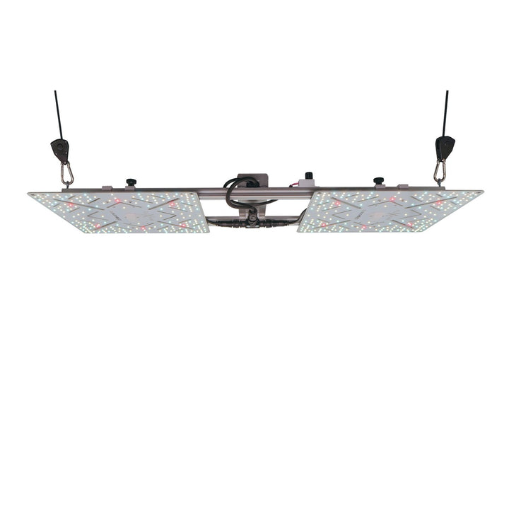 BloomStar Wingman 660