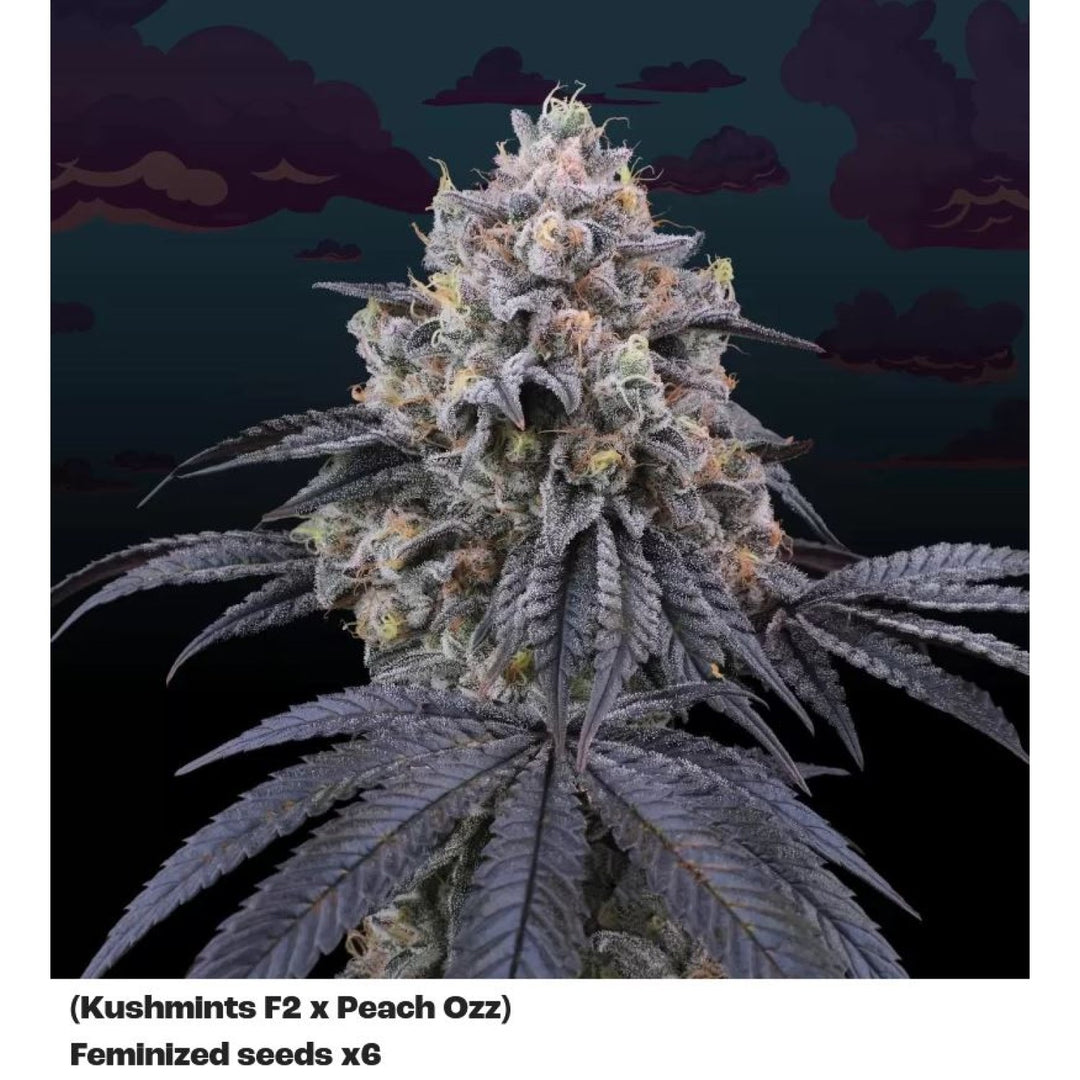 Perfect Tree Peach Clouds Fem 6St.