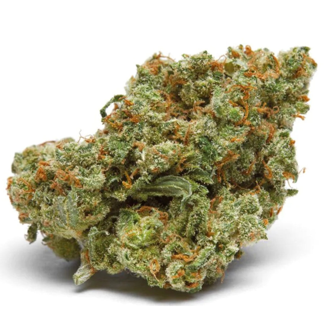 Growers Choice The Real Amnesia Fem 10St.