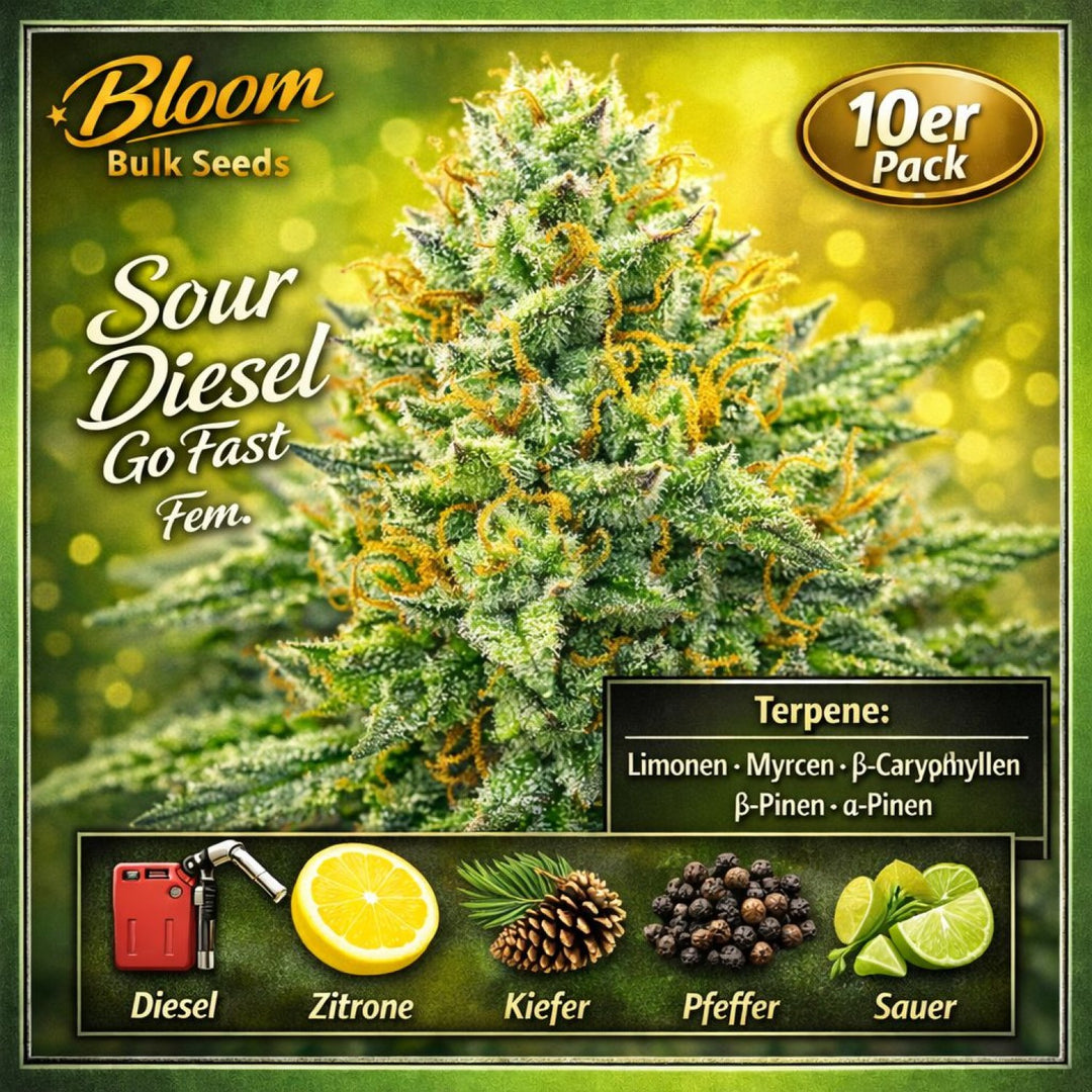 Bloom Bulk Seeds Sour Diesel Go Fast Fem 10St.