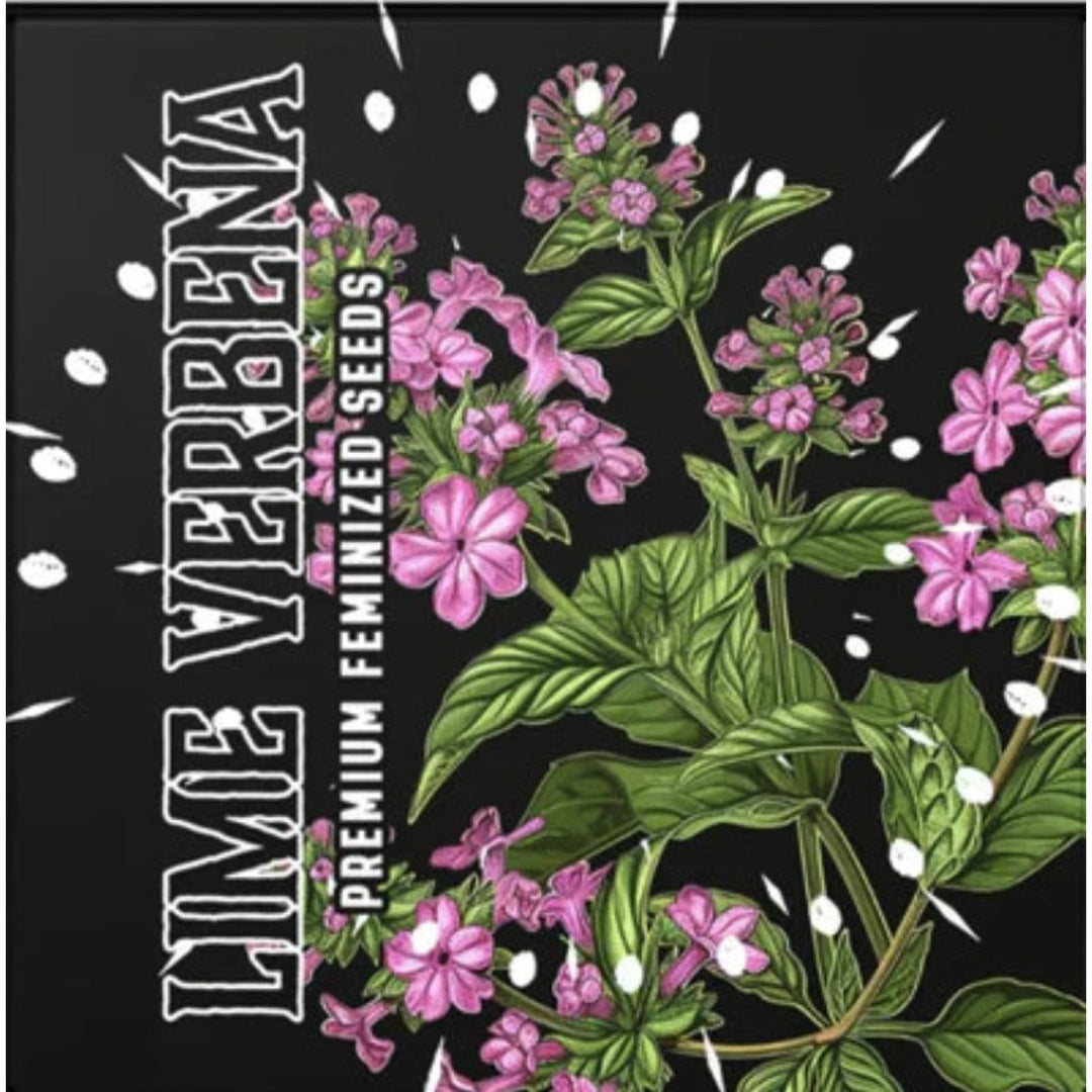Doja Seeds Lime Verbena Fem 3St.