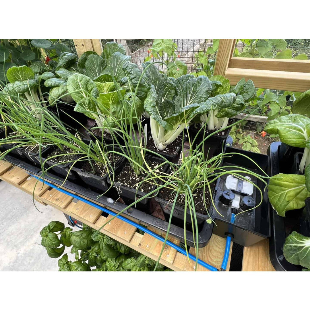 AutoPot Tray2Grow
