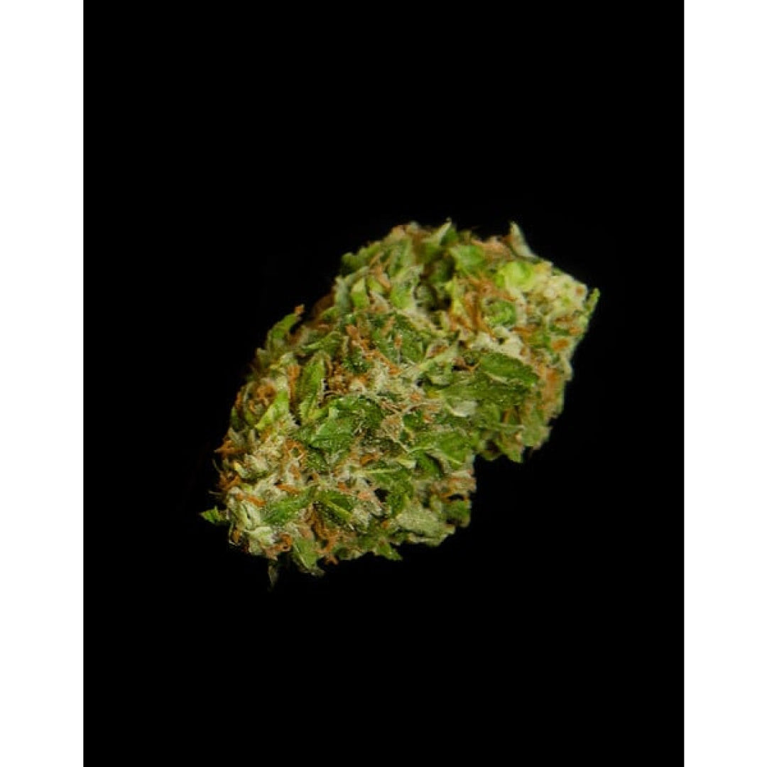Royal Queen Seeds Apollo F1 Auto Fem. 3St.