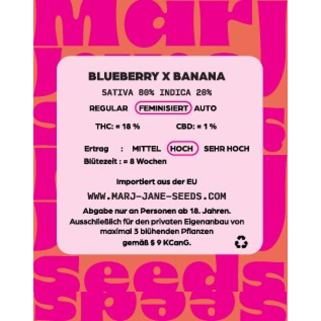 Marj Jane Blueberry X Banana Fem. 3St.