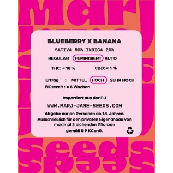 Marj Jane Blueberry X Banana Fem. 3St.