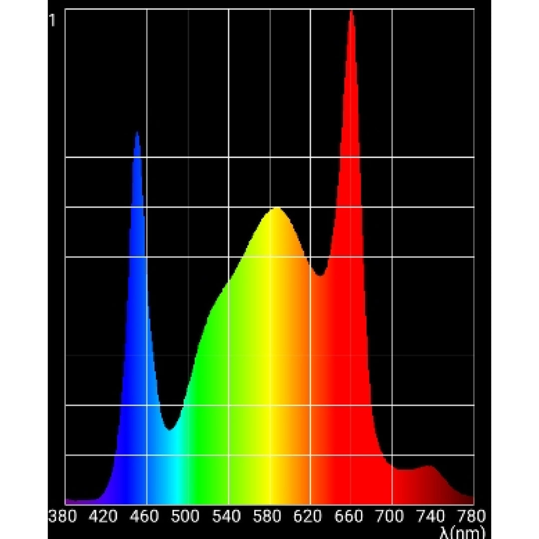 SANLight EVO 6-120 400W 1.5
