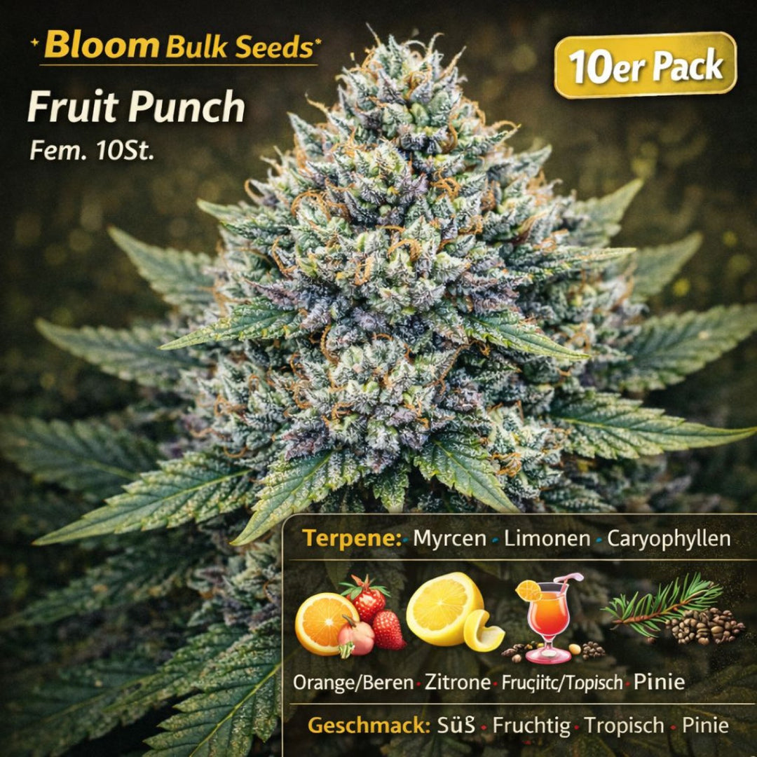 Bloom Bulk Seeds Fruit Punch Fem 10St.