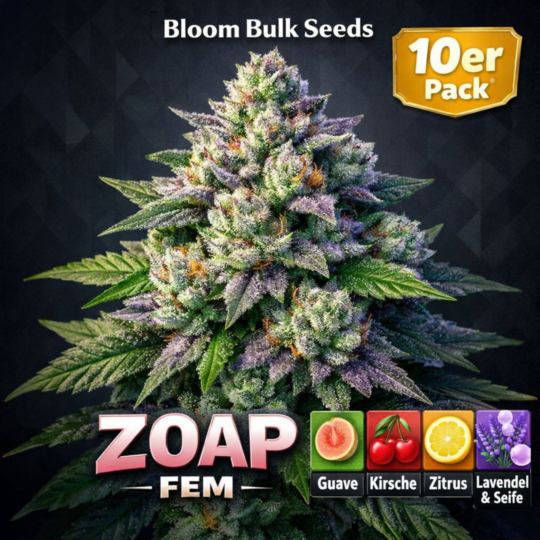 Bloom Bulk Seeds Zoap Fem 10St.