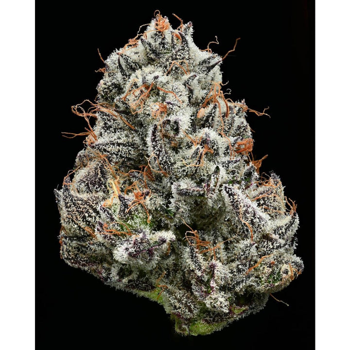 Barneys Farm Black Cherry Gushers Fem 3St.