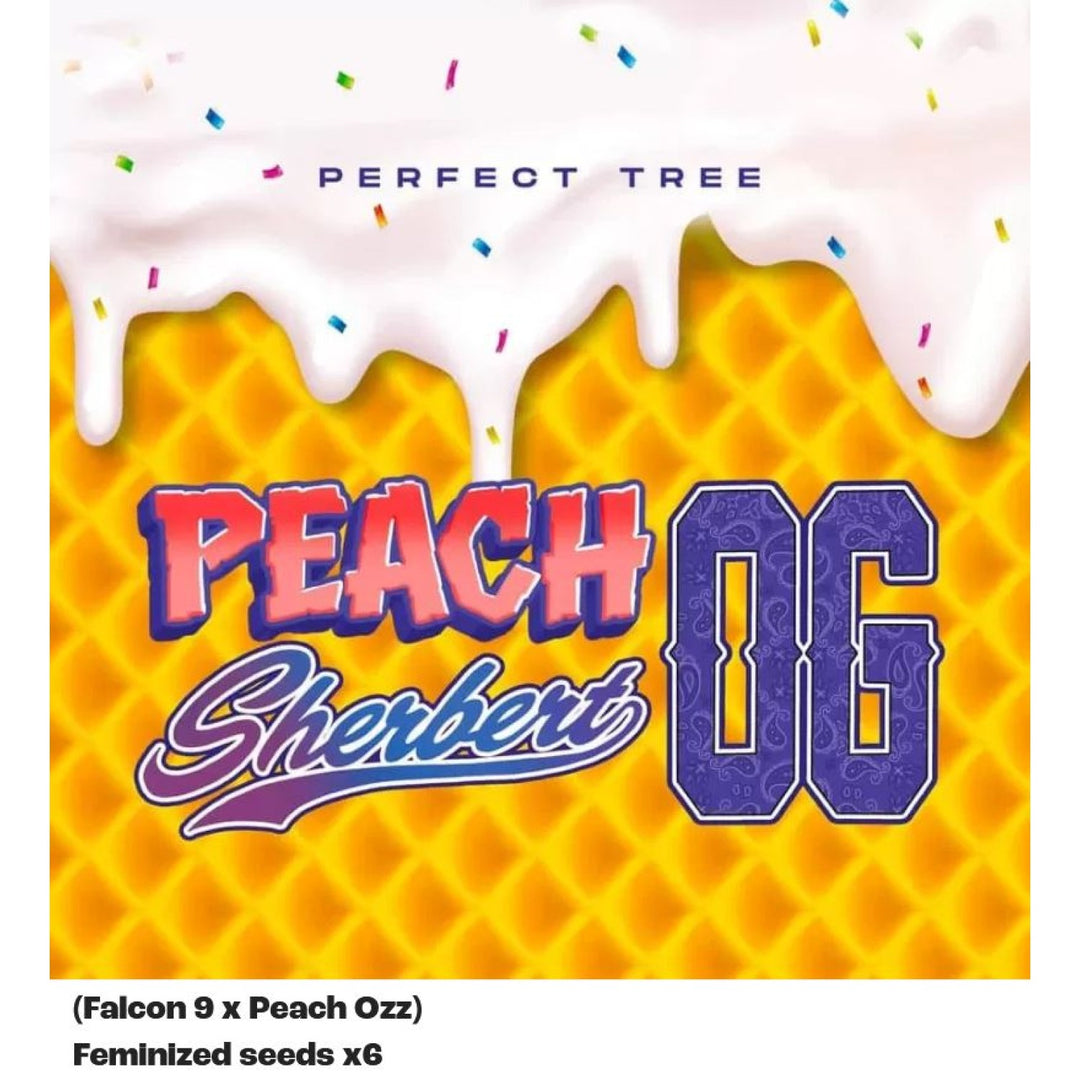 Perfect Tree Peach Sherbert OG Fem 6St.