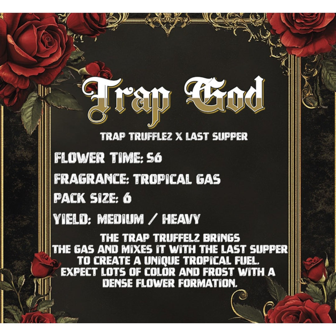 Solfire Gardens Trap God Fem 6St.