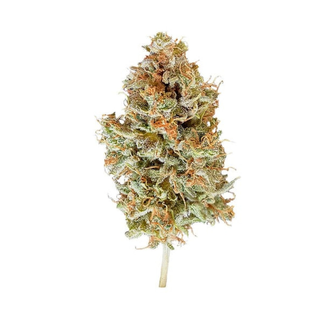 Royal Queen Seeds Easy Bud Auto Fem. 3St.