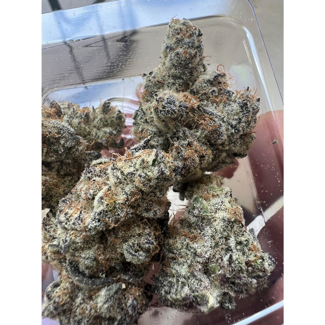 In House Genetics Frozen Grapes Fem 3St.