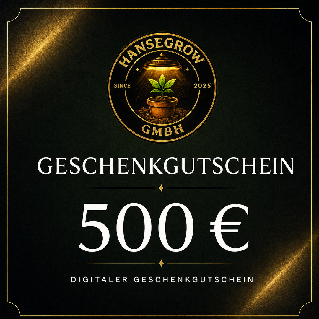 Geschenkgutscheine (digital)