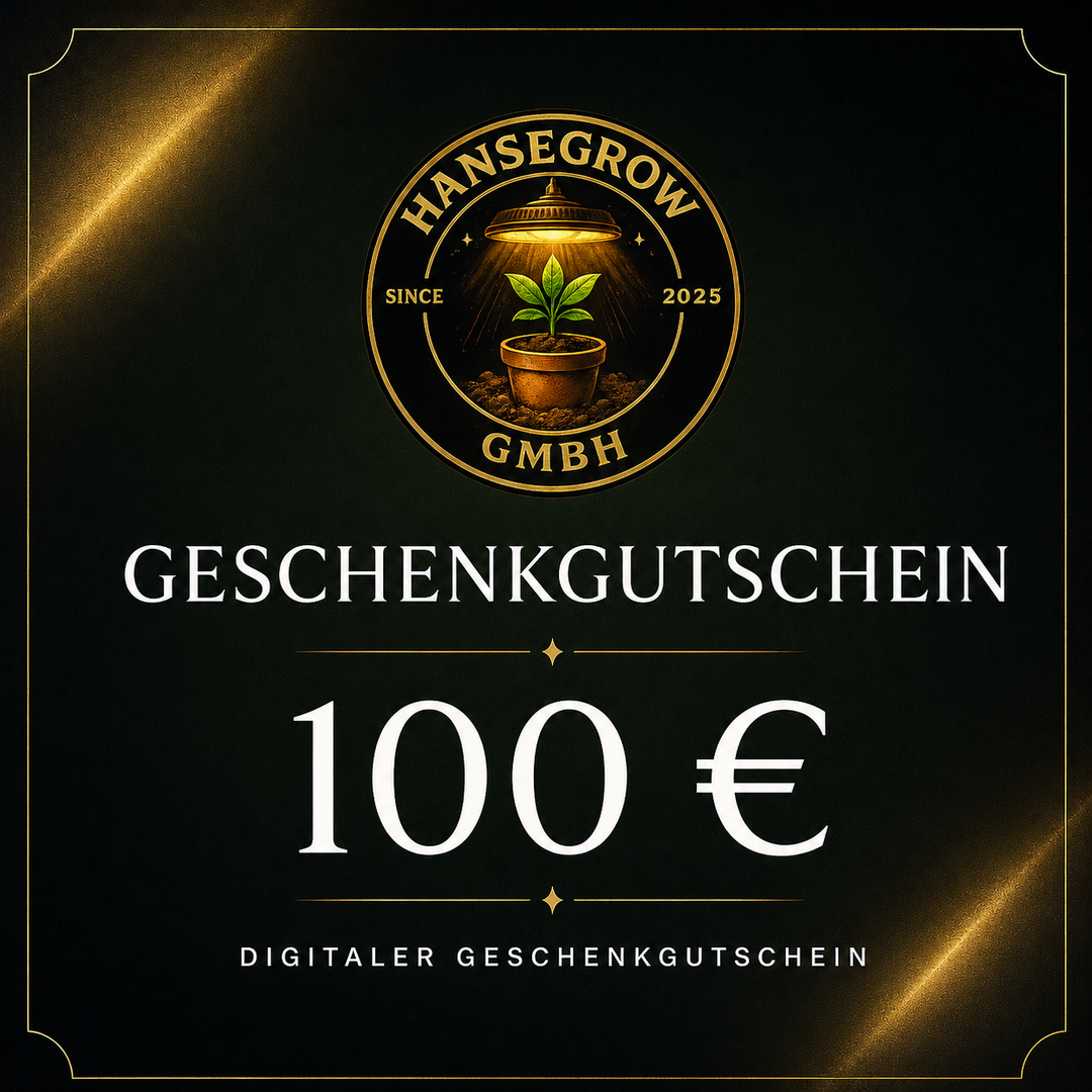 Geschenkgutscheine (digital)