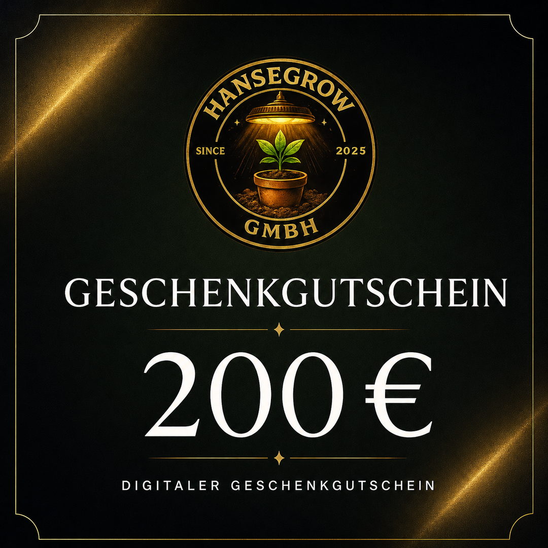 Geschenkgutscheine (digital)